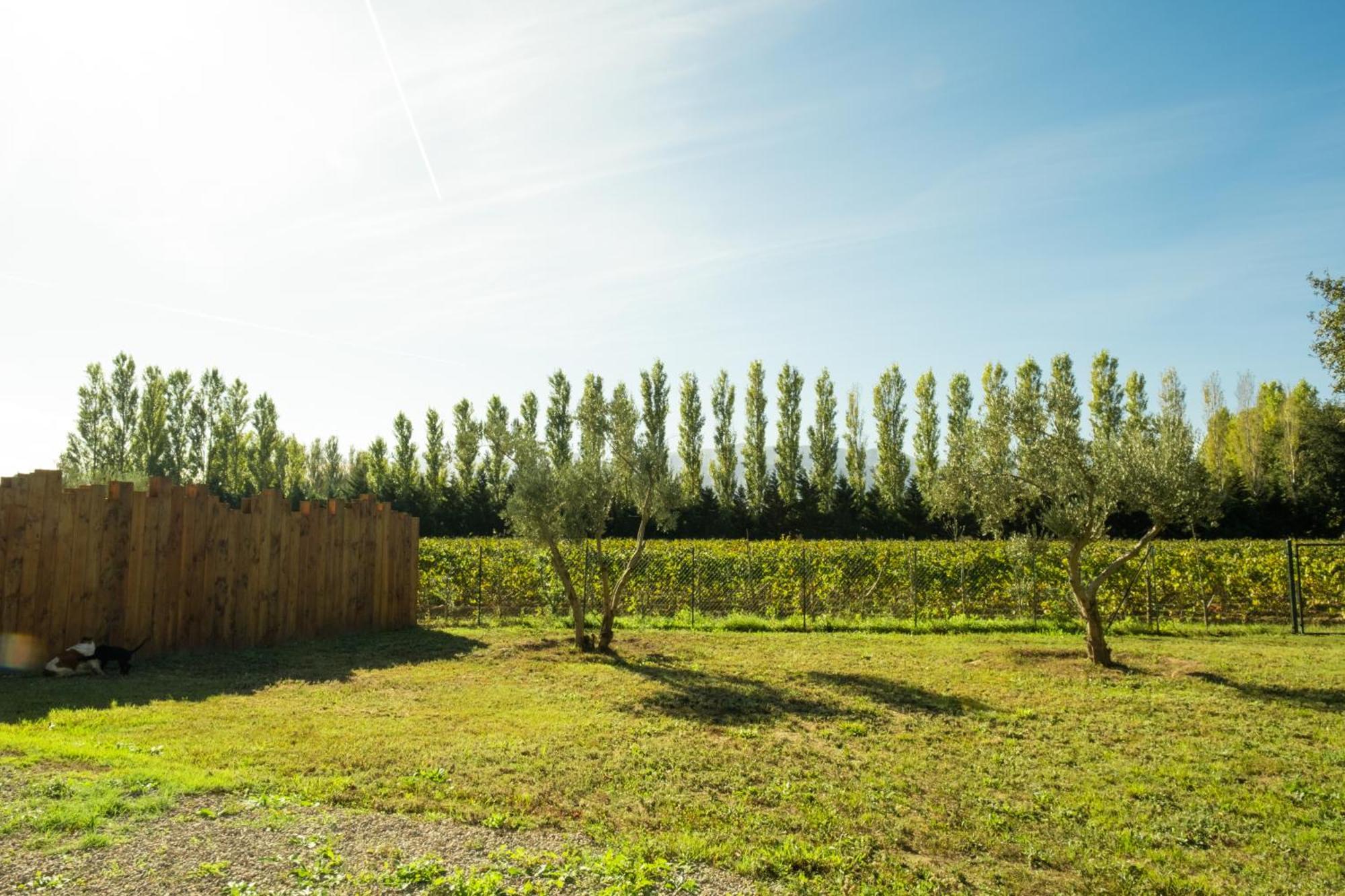 Domaine Saint Thomas Villa Argelès-sur-Mer Eksteriør billede