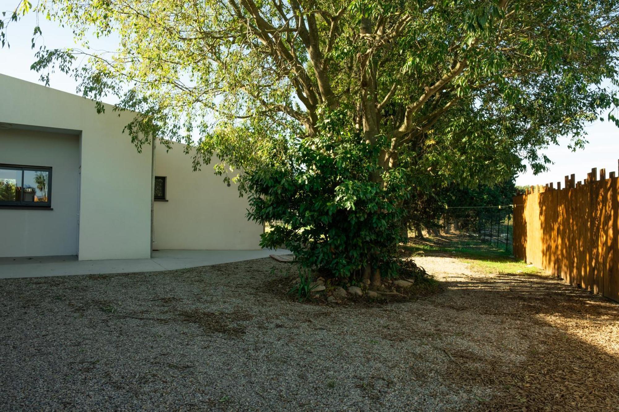 Domaine Saint Thomas Villa Argelès-sur-Mer Eksteriør billede