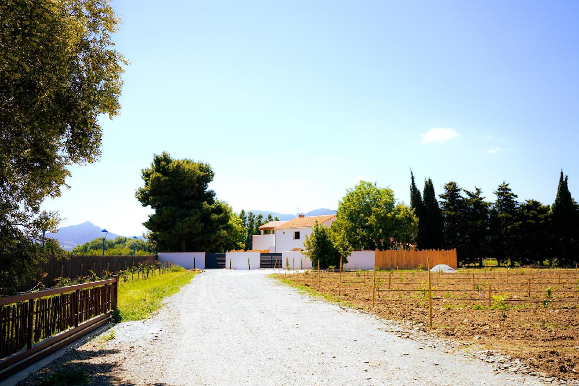 Domaine Saint Thomas Villa Argelès-sur-Mer Eksteriør billede